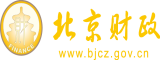 操比在线北京市财政局